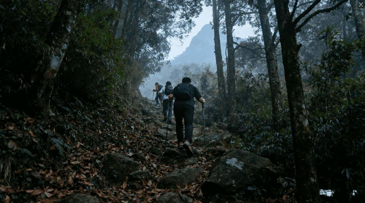 掌握百度加速器袋鼠提取的常见应用场景